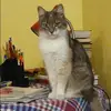 Отзыв от Эльвира Вишневская